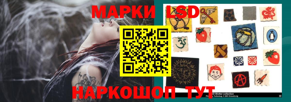 Сокол  Лсд 25 экстази ecstasy  LSD-25 экстази ecstasy  Вход с VPN 